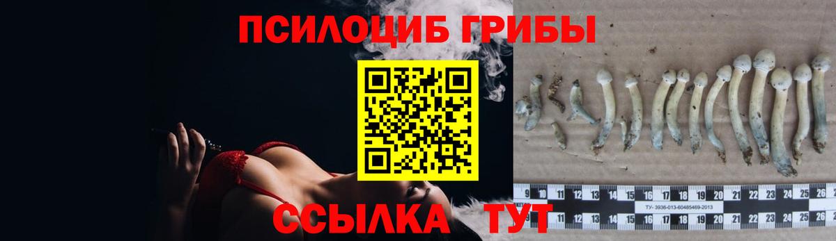Галлюциногенные грибы мицелий Усолье-Сибирское